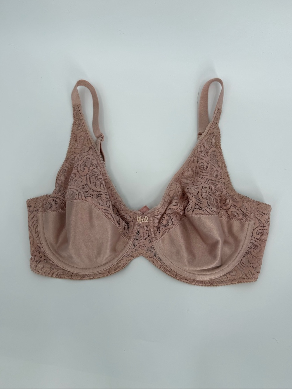 Christian Dior Vintage Lace Embroidered Underwire Bra | Blush | 34C